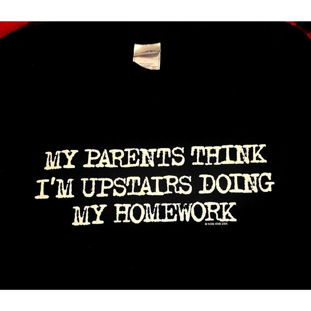 Black Graphic Tee "My parents think I'm upstairs doing my homework" size XL